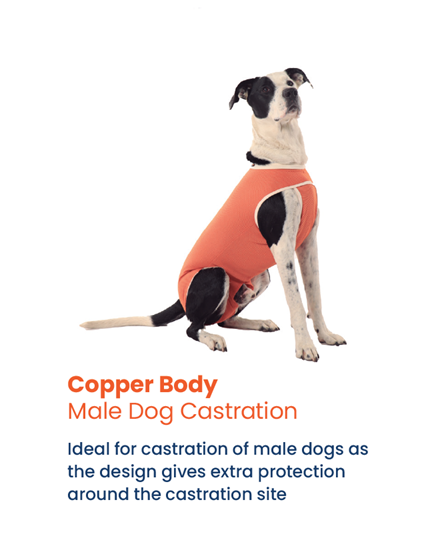 Luna & Milo CopperBody Kastration #2