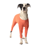 Luna & Milo CopperBody 4-Beine #8